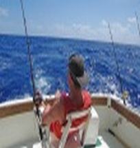 Marine Fish Finders