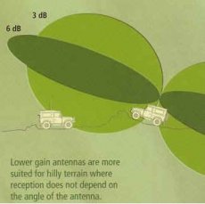 antenna radiation